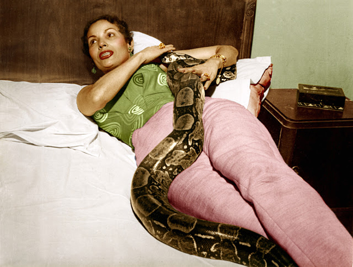 Suzy King no Hotel Irradiação com suas cobras em fevereiro de 1956, quando uma delas fugiu de seu quarto, causando grande tumulto