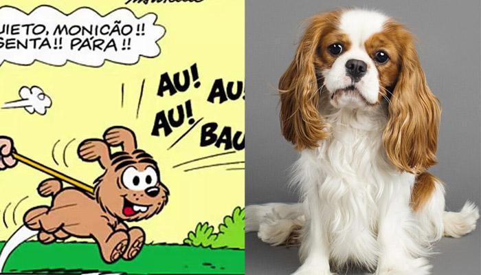 Cão pastor inglês antigo raça de desenho animado kawaii personagem