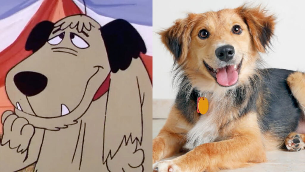 10 personagens caninos de desenhos clássicos e suas raças