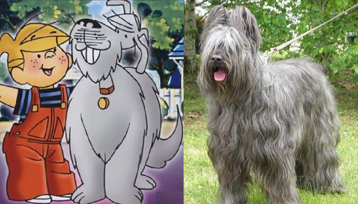 Cão pastor inglês antigo raça de desenho animado kawaii personagem
