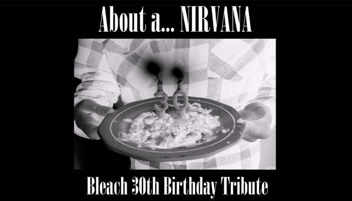 A Bleach 30th Anniversary Tribute