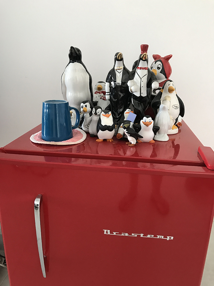 Vários pinguins